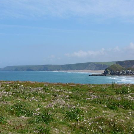 The Whipsiderry Hotel New Quay Esterno foto