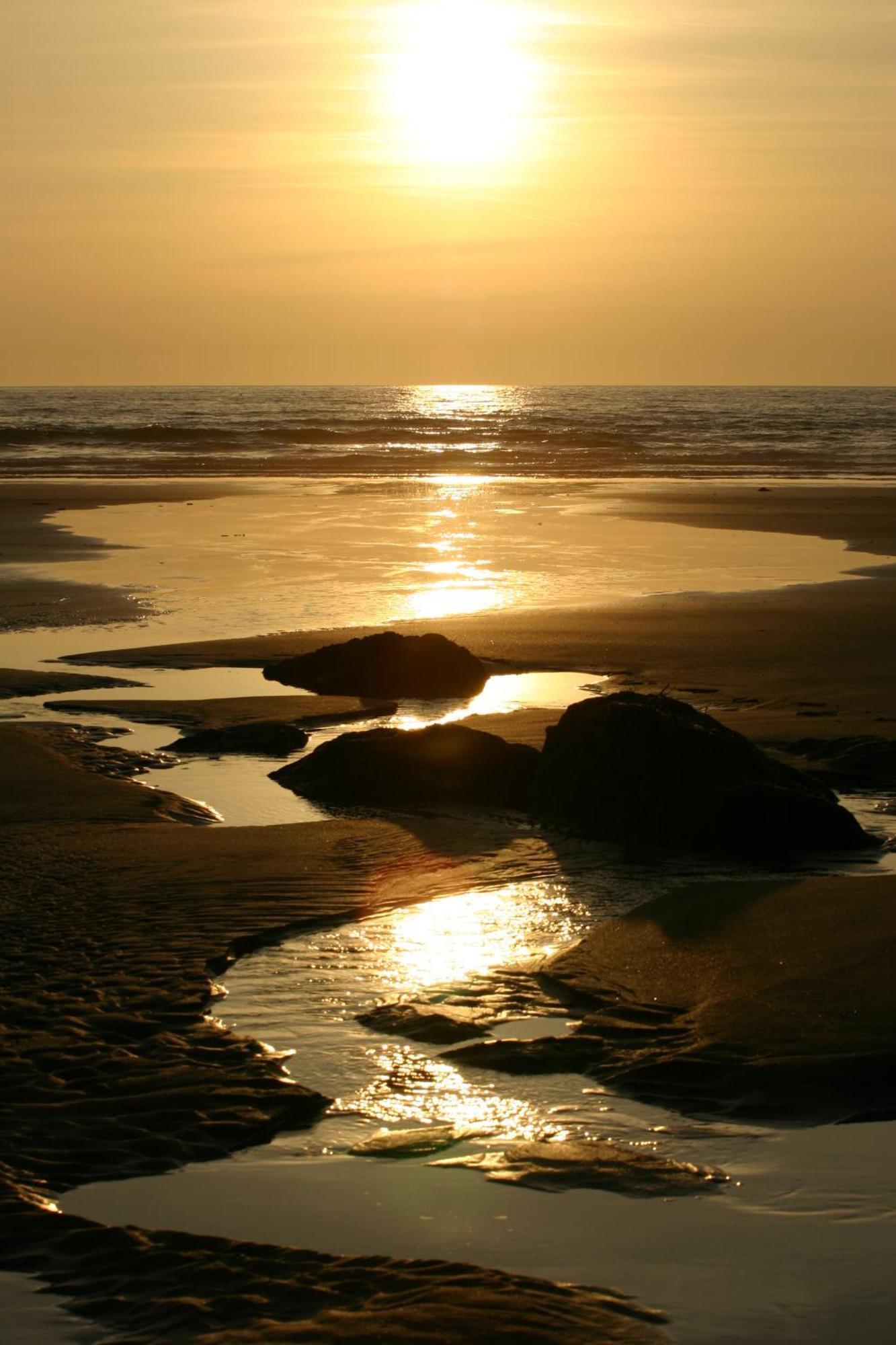 The Whipsiderry Hotel New Quay Esterno foto