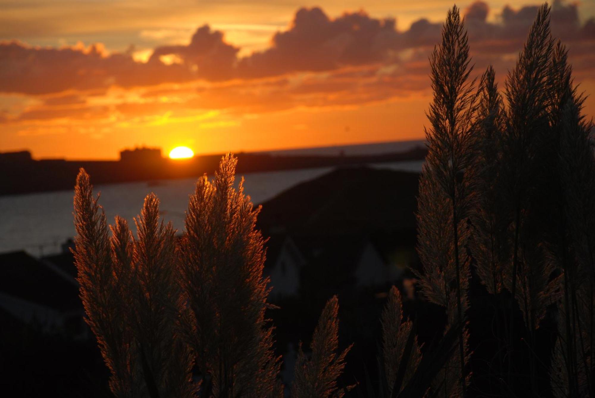 The Whipsiderry Hotel New Quay Esterno foto
