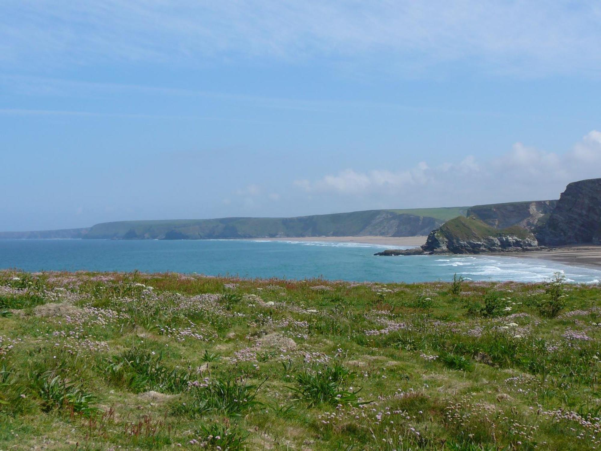 The Whipsiderry Hotel New Quay Esterno foto