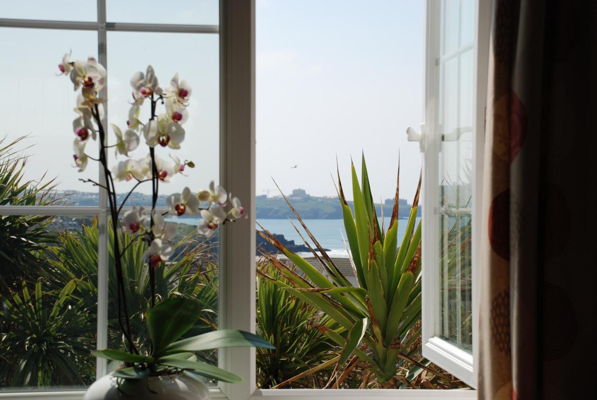 The Whipsiderry Hotel New Quay Esterno foto