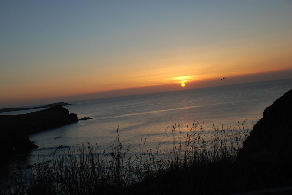 The Whipsiderry Hotel New Quay Esterno foto